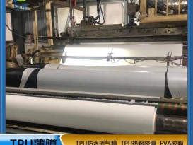 tpu膜白色霧面防水透氣膜復合布料紡織移印 等功能性薄膜生產(chǎn)廠(chǎng)家直銷(xiāo)