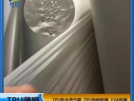 廣州廠(chǎng)家聚醚tpu薄膜防水透濕膜中高透tpu膜卷材規格ZC-ZGD-0.02