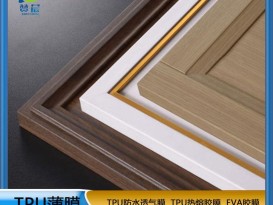 熱熔膠膜   噴膠吸塑膜   廠(chǎng)家直銷(xiāo) ZC