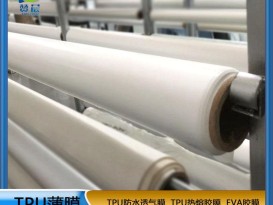 廠(chǎng)家直銷(xiāo)防水透氣膜乳白色低透復合面料霧面TPU功能薄膜 免費寄樣