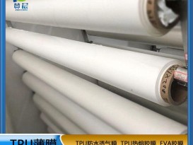 TPU聚酯環(huán)保防水高透濕薄膜厚0.03mm功能薄膜生產(chǎn)廠(chǎng)家免費拿樣